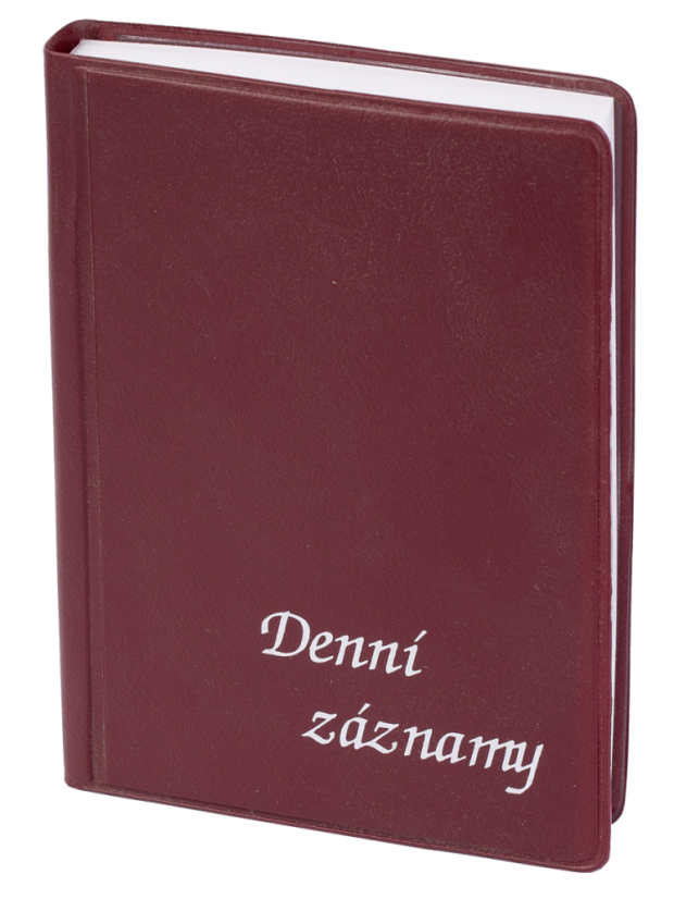 Denní záznamy A6 UNI bordó