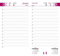 Denní diář 809 Nebraska hnědý